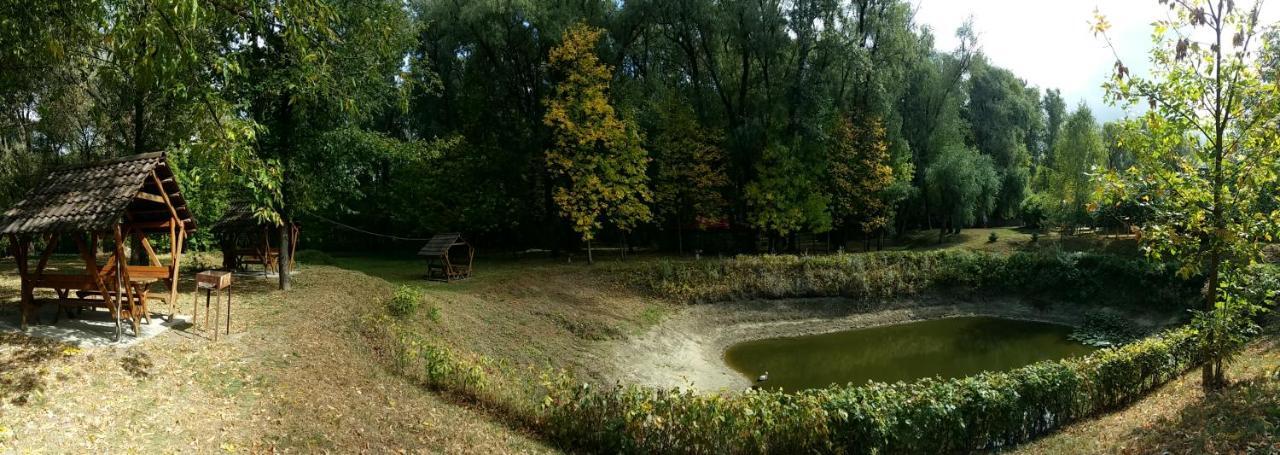 Zolotoy Bereg Hotel Tsjernihiv Buitenkant foto